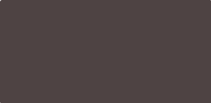 Dark Bronze