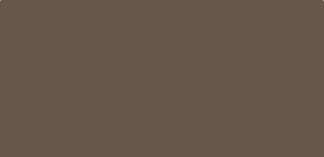 Burnished Slate